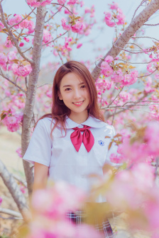 张恒远 蓝莲花